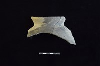 藏品(陶罐)的圖片